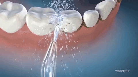 خيط الماء Waterpik FAOB
